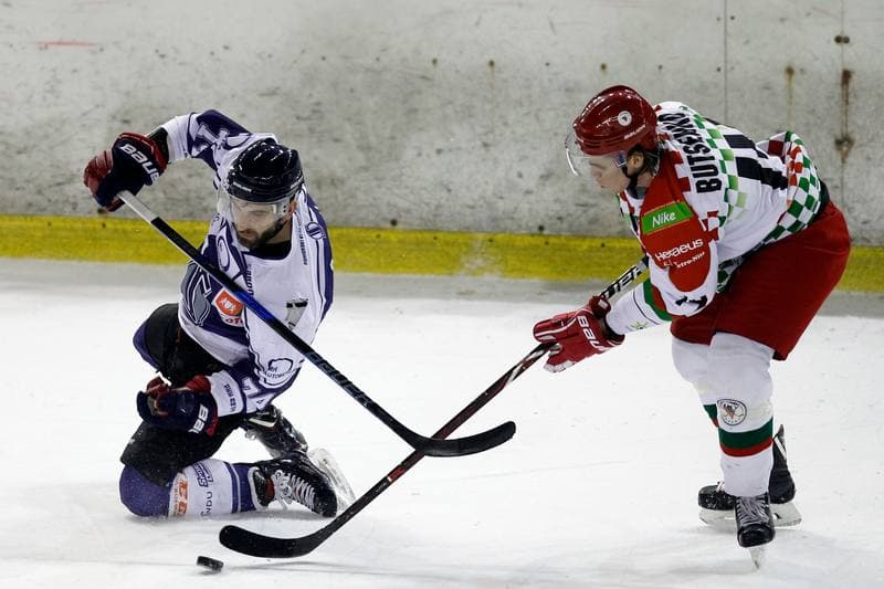 Ice Hockey. Polska Hokej Liga. Zaglebie Sosnowiec - MH Automatyka Gdansk. 02.01.2019