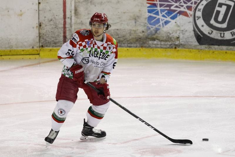 Ice Hockey. Polska Hokej Liga. Zaglebie Sosnowiec - Orlik Opole. 17.02.2019