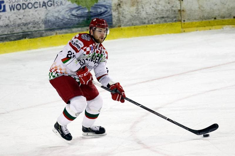 Ice Hockey. Polska Hokej Liga. Zaglebie Sosnowiec - Orlik Opole. 17.02.2019