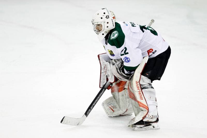 Ice Hockey. Polska Hokej Liga. Naprzod Janow - Orlik Opole. 01.03.2019