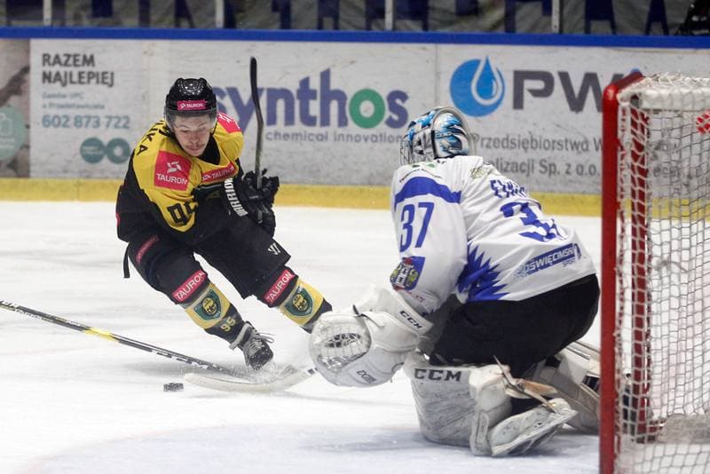 Ice Hockey. Polska Hokej Liga. Unia Oswiecim - Tauron KH GKS Katowice. 02.03.2019
