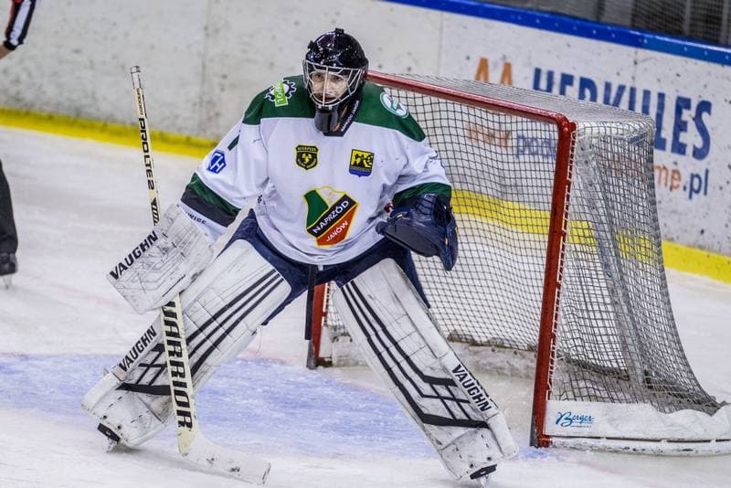 Ice Hockey. PHL. Naprzod Janow - Zaglebie Sosnowiec. 03.11.2019