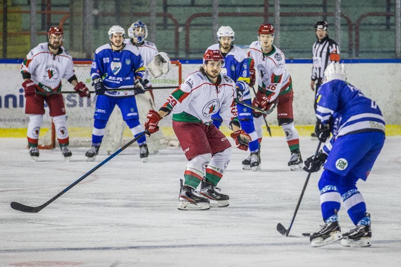 Ice Hockey. PHL. Zaglebie Sosnowiec - Re-Plast Unia Oswiecim. 12.01.2020