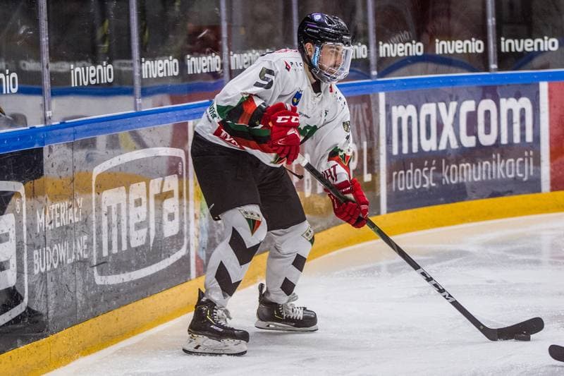 Ice Hockey. PHL. GKS Tychy - Naprzod Janow. 19.01.2020