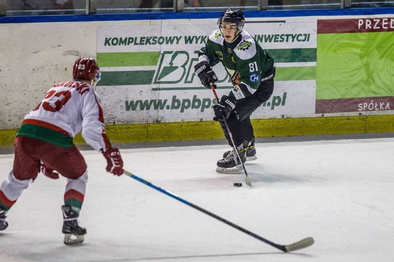 Ice Hockey. PHL. Zaglebie Sosnowiec - Naprzod Janow. 14.01.2020