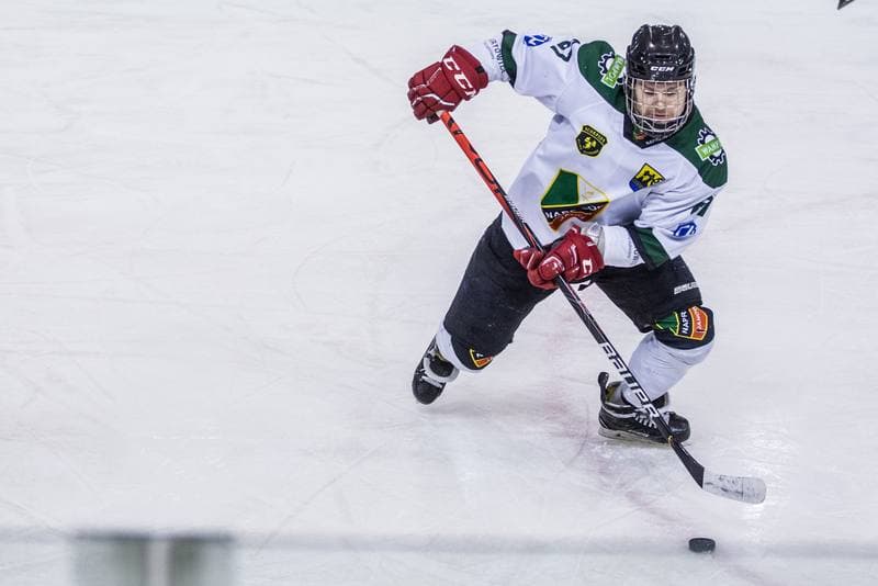 Ice Hockey. PHL. Naprzod Janow - Lotos PKH Gdansk. 20.01.2020