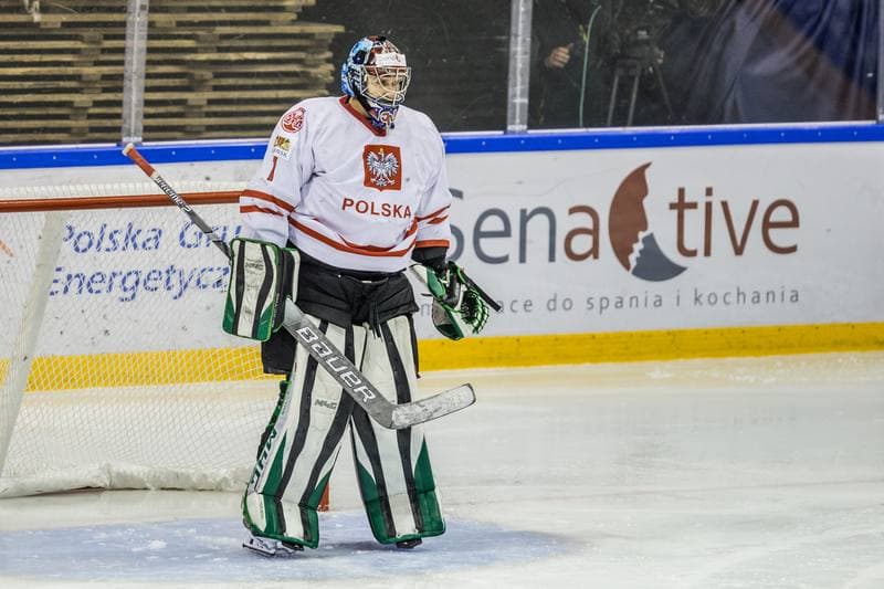 Ice Hockey. Euro Ice Hockey Challenge. Poland - Japan. 08.11.2019