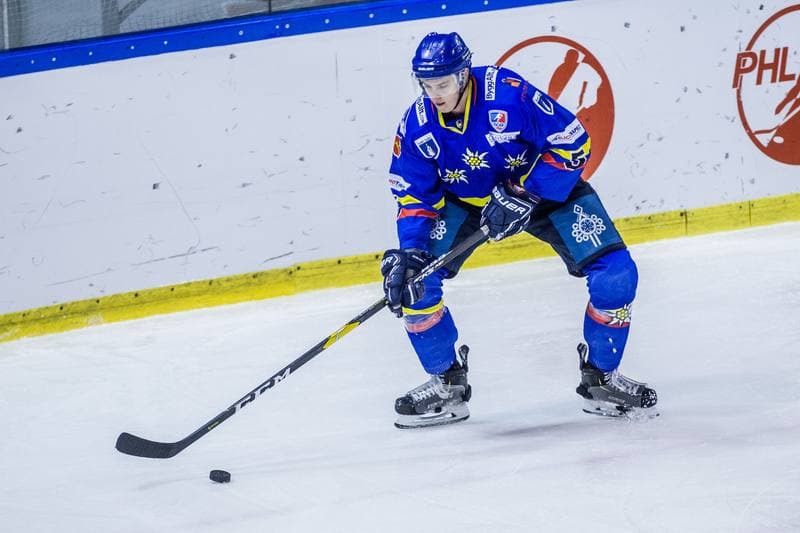 Ice Hockey. PHL. Naprzod Janow - Podhale Nowy Targ. 12.01.2020
