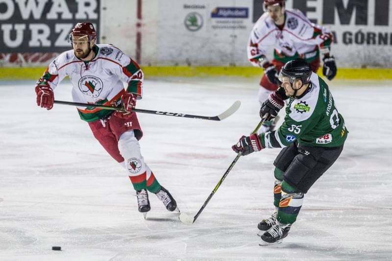Ice Hockey. PHL. Zaglebie Sosnowiec - Naprzod Janow. 14.01.2020