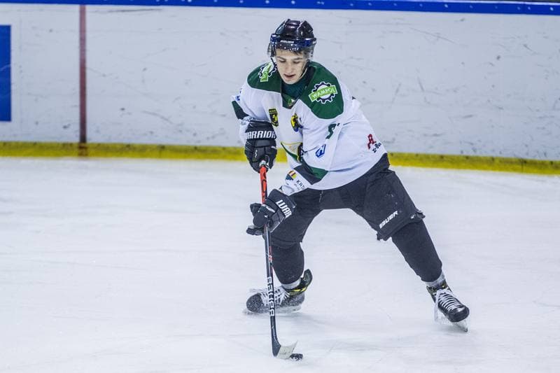Ice Hockey. PHL. Naprzod Janow - Lotos PKH Gdansk. 20.01.2020