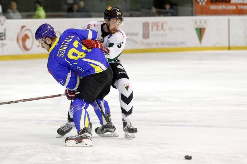 Ice Hockey. Polska Hokej Liga. GKS Tychy - Orlik Opole. 13.01.2017