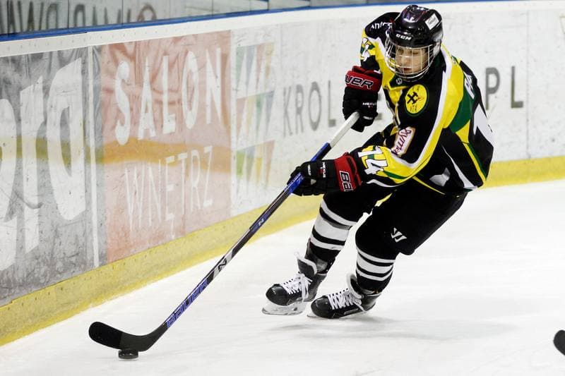 Ice Hockey. Polska Hokej Liga. GKS Tychy - JKH GKS Jastrzebie. 17.02.2017