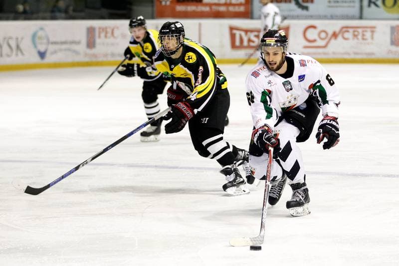 Ice Hockey. Polska Hokej Liga. GKS Tychy - JKH GKS Jastrzebie. 17.02.2017