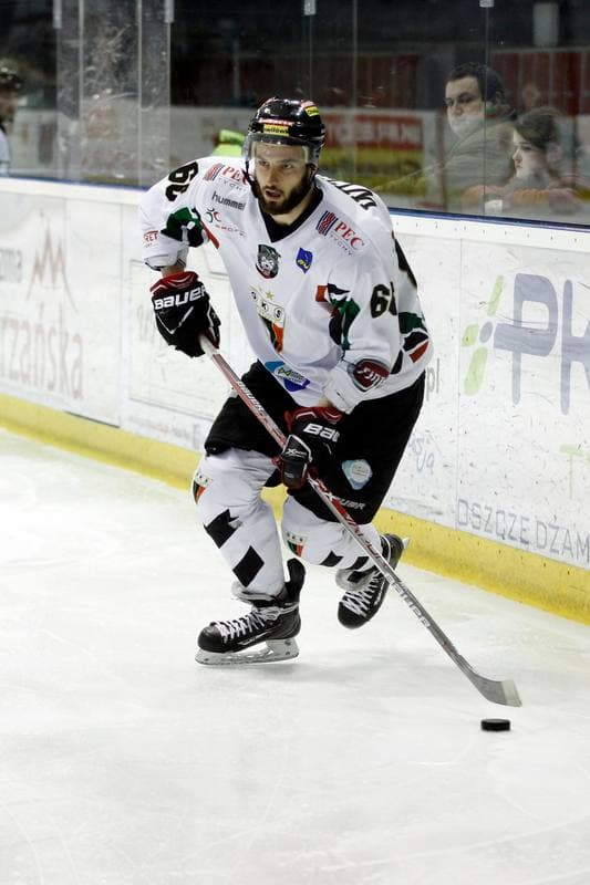 Ice Hockey. Polska Hokej Liga. GKS Tychy - Comarch Cracovia. 21.03.2017