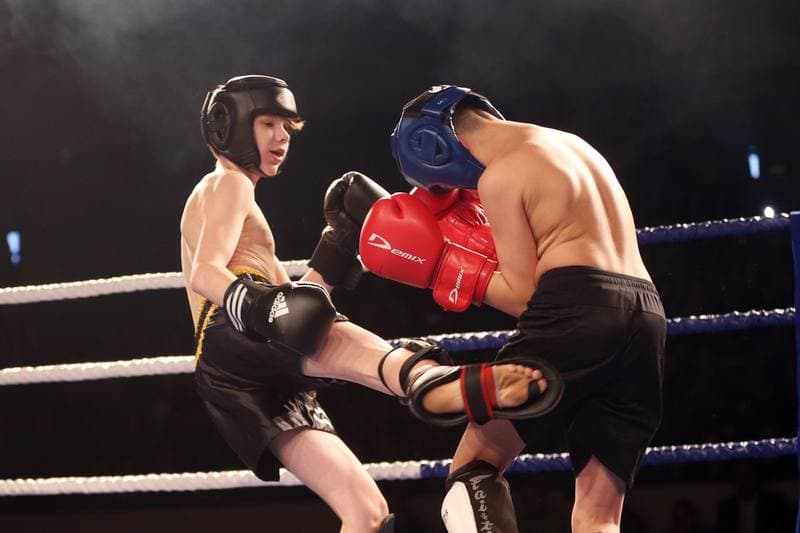 Kickboxing. WKN Challenge. Gala. 12.05.2017