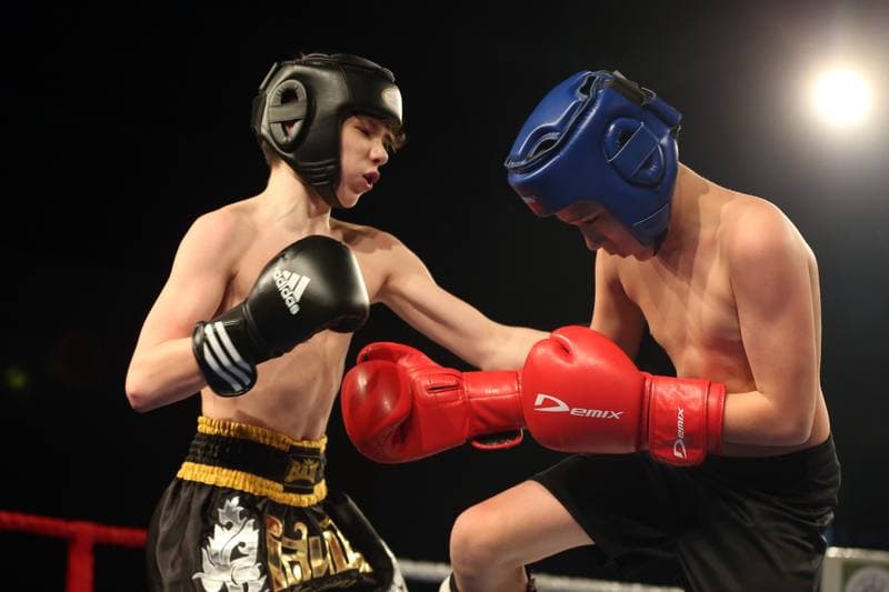 Kickboxing. WKN Challenge. Gala. 12.05.2017