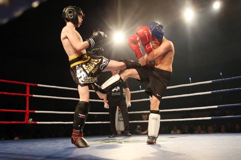 Kickboxing. WKN Challenge. Gala. 12.05.2017