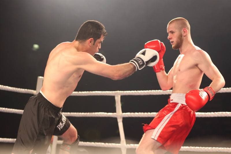 Kickboxing. WKN Challenge. Gala. 12.05.2017