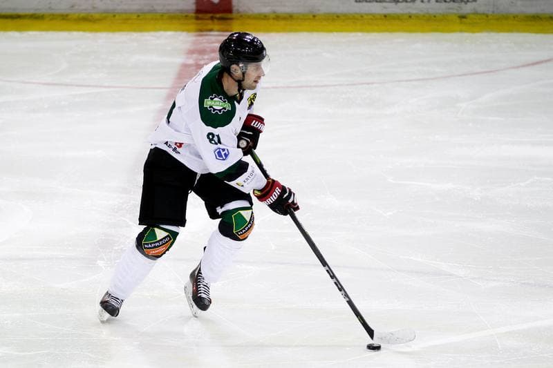 Ice Hockey. Polska Hokej Liga. Anteo Naprzod Janow - PGE Orlik Opole. 20.02.2018