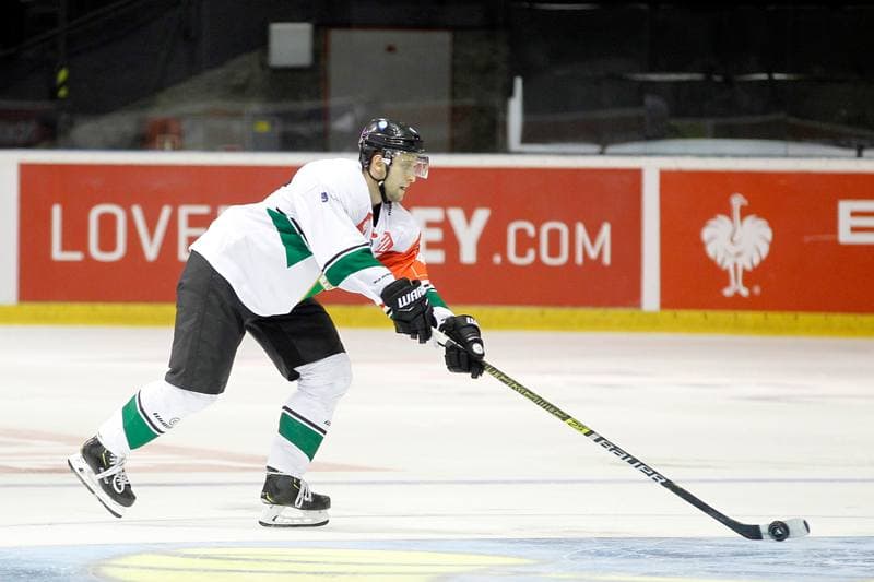Ice Hockey. Champions Hockey League. GKS Tychy - Skelleftea AIK. 02.09.2018
