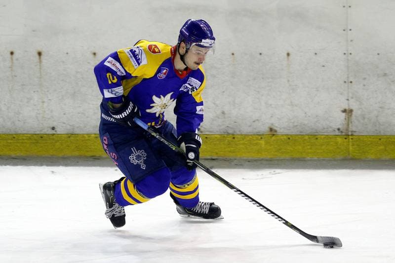 Ice Hockey. Polska Hokej Liga. Zaglebie Sosnowiec - TatrySki Podhale Nowy Targ. 25.11.2018