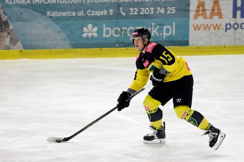 Ice Hockey. Polska Hokej Liga. Tauron KH GKS Katowice - PGE Orlik Opole. 30.12.2018