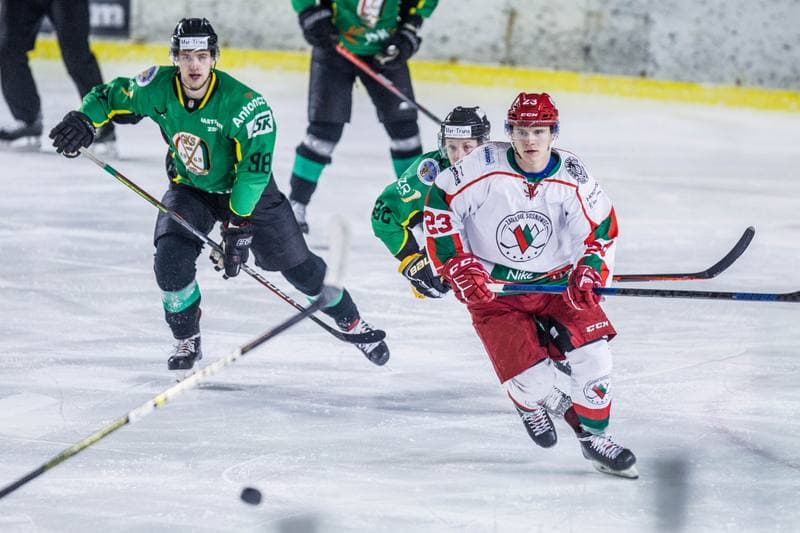 Ice Hockey. PHL. Zaglebie Sosnowiec - JKH GKS Jastrzebie. 21.01.2020