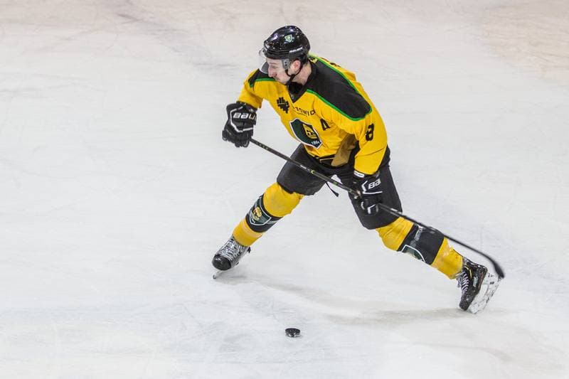 Ice Hockey. PHL. GKS Katowice - KH Energa Torun. 24.01.2020