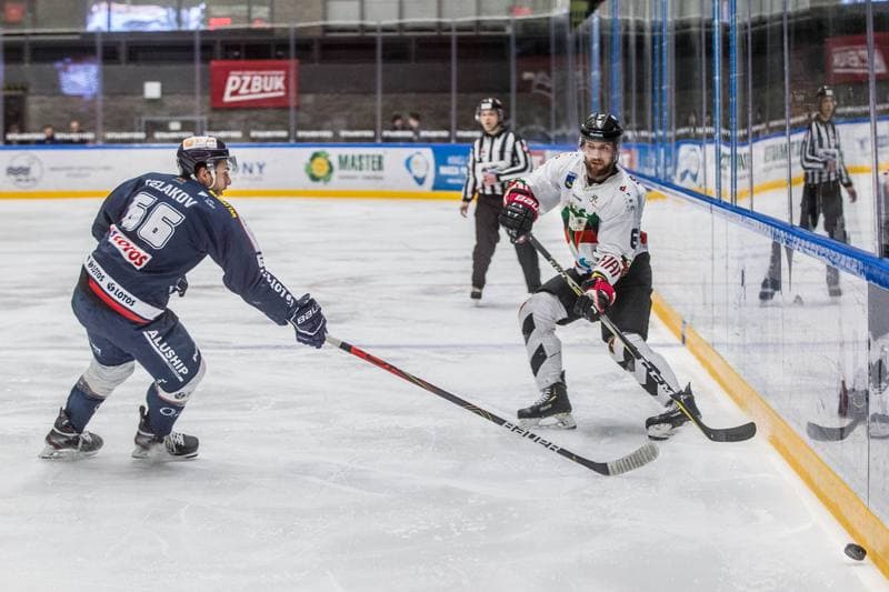 Ice Hockey. PHL. GKS Tychy - Lotos PKH Gdansk. 31.01.2020