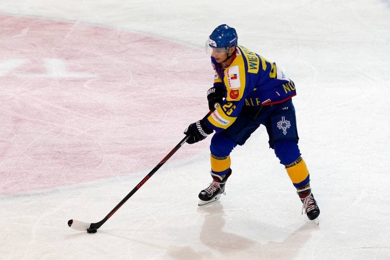Ice Hockey. Polska Hokej Liga. SMS PZHL Katowice - TatrySKI Podhale Nowy Targ. 26.10.2017