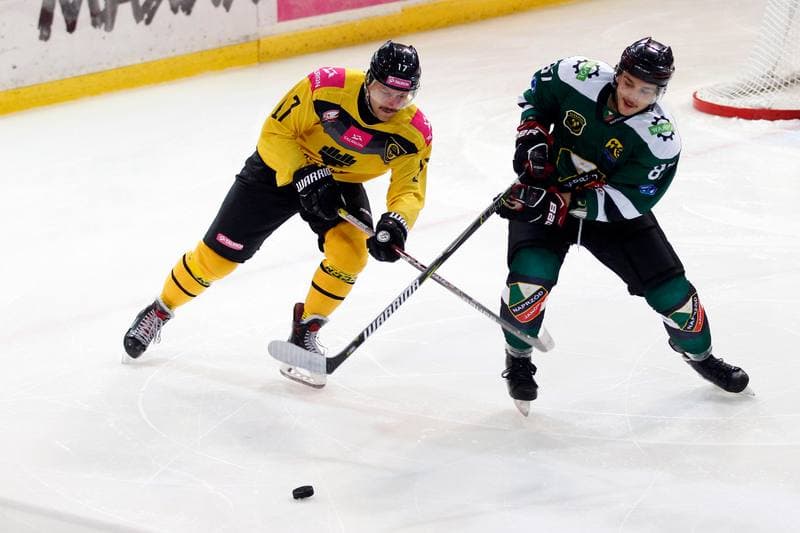 Ice Hockey. Tauron Hokej Liga. Tauron KH GKS Katowice - Anteo Naprzod Janow. 03.11.2017