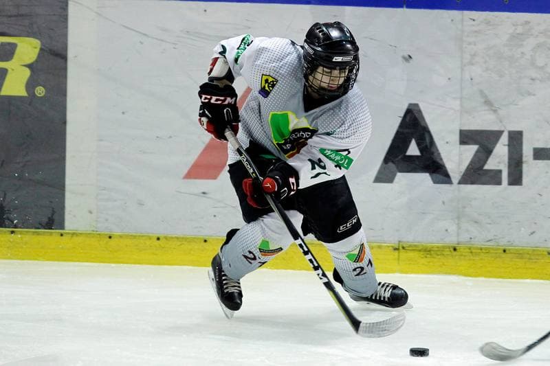 Ice Hockey. PLHK. Naprzod Janow - Unia Oswiecim. 20.01.2018