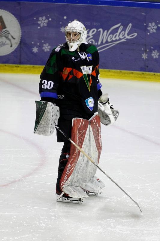 Ice Hockey. Tauron Hokej Liga. Anteo Naprzod Janow - GKS Tychy. 26.01.2018