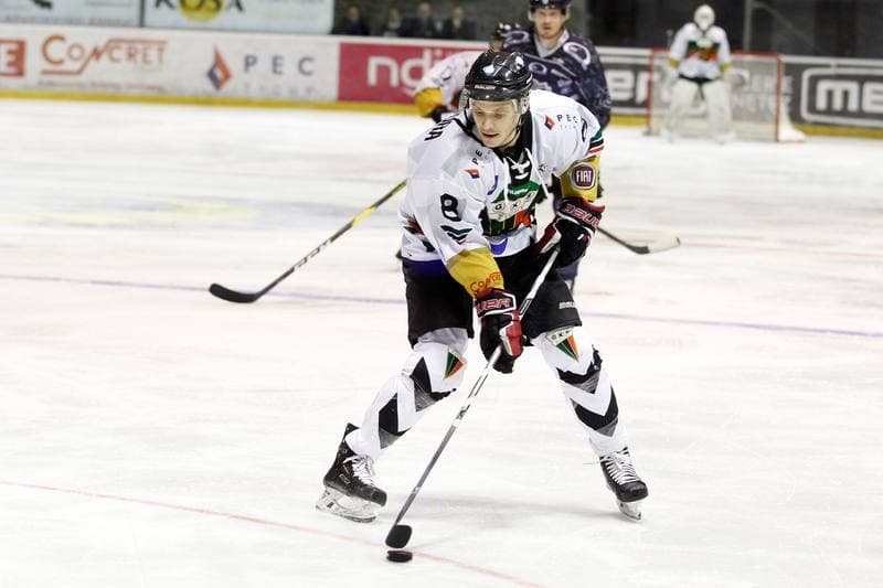 Ice Hockey. Polska Hokej Liga. GKS Tychy - MH Automatyka Gdansk. 16.02.2019
