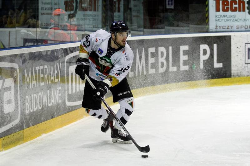 Ice Hockey. Polska Hokej Liga. GKS Tychy - Automatyka Gdansk. 22.02.2019