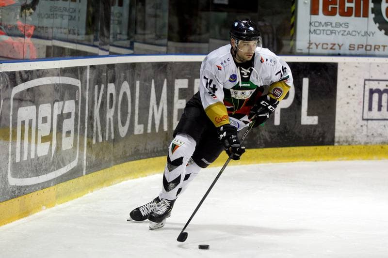 Ice Hockey. Polska Hokej Liga. GKS Tychy - Automatyka Gdansk. 22.02.2019