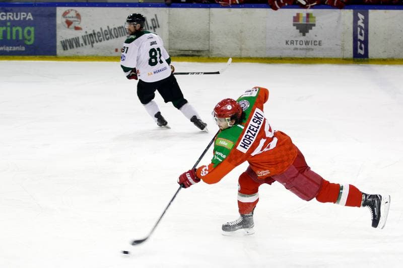 Ice Hockey. Polska Hokej Liga. Naprzod Janow - Zaglebie Sosnowiec. 23.02.2019