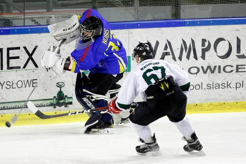 Ice Hockey. Polska Hokej Liga. Naprzod Janow - Orlik Opole. 01.03.2019