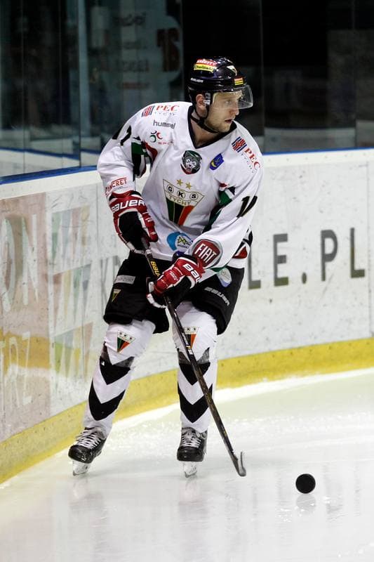 Ice Hockey. Polska Hokej Liga. GKS Tychy - Orlik Opole. 13.01.2017