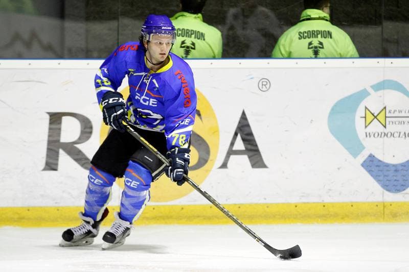 Ice Hockey. Polska Hokej Liga. GKS Tychy - Orlik Opole. 13.01.2017