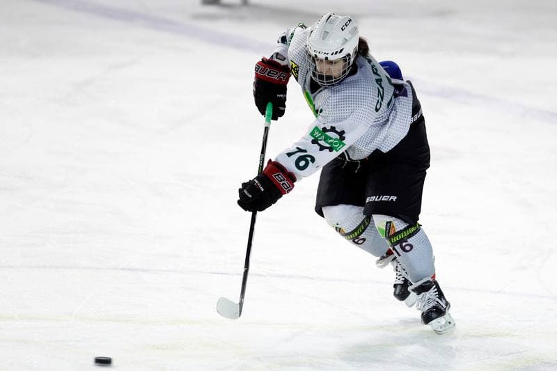 Ice Hockey. PLHK. Naprzod Janow - Unia Oswiecim. 20.01.2018
