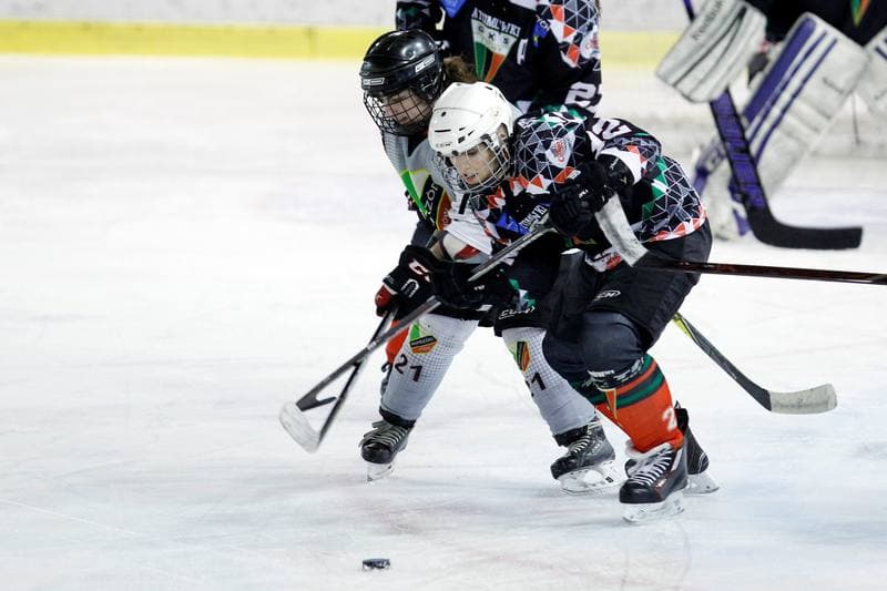 Ice Hockey. PLHK. Naprzod Janow - Atomowki Tychy. 03.02.2018