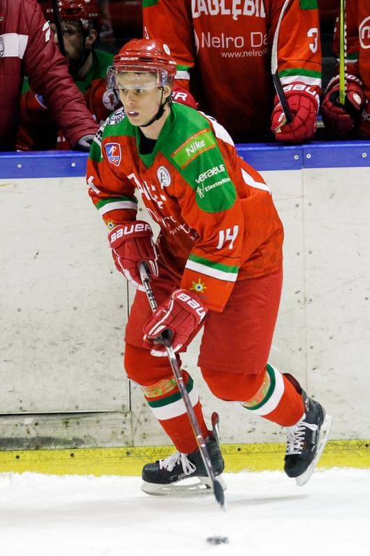 Ice Hockey. Polska Hokej Liga. Naprzod Janow - Zaglebie Sosnowiec. 23.02.2019