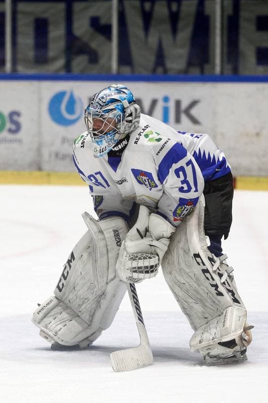 Ice Hockey. Polska Hokej Liga. Unia Oswiecim - Tauron KH GKS Katowice. 02.03.2019