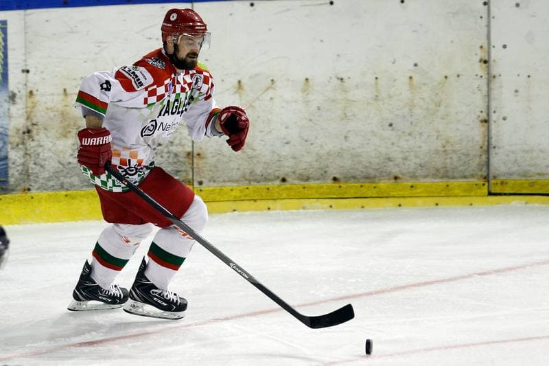 Ice Hockey. Polska Hokej Liga. Zaglebie Sosnowiec - Orlik Opole. 17.02.2019