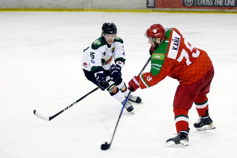 Ice Hockey. Polska Hokej Liga. Naprzod Janow - Zaglebie Sosnowiec. 23.02.2019