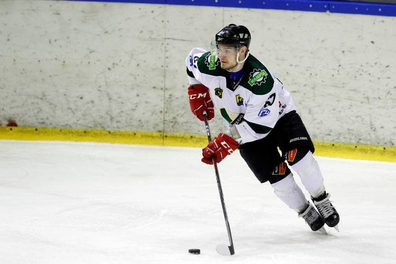 Ice Hockey. Polska Hokej Liga. Naprzod Janow - Orlik Opole. 01.03.2019