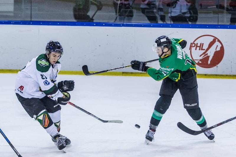 Ice Hockey. PHL. Naprzod Janow - JKH GKS Jastrzebie. 17.01.2020