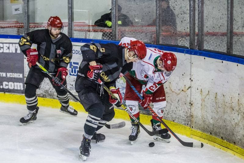 Ice Hockey. PHL. Zaglebie Sosnowiec - Comarch Cracovia. 31.01.2020