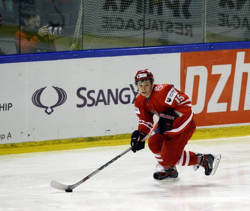Ice Hockey. Euro Ice Hockey Challenge. Poland - Austria. 07.11.2015